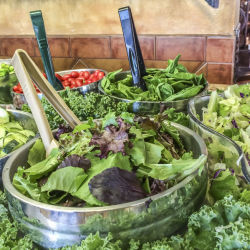 a healthy salad bar with lost of greens and cucumbers