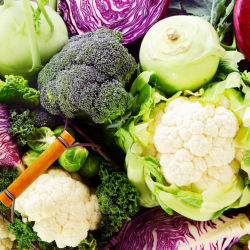 close up of colorful healthy vegetables
