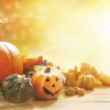 Sunny, rustic autumn decorations with pumpkins, a small Jack O'Lantern and golden leaves on a wooden surface