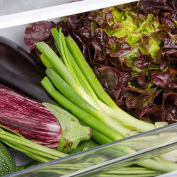 An open drawer of a refrigerator displaying colorful vegetables like scallions, squash, and carrots