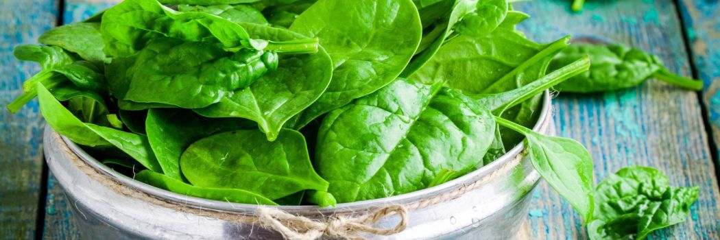 Fresh spinach in a bowl on wooden rustic table