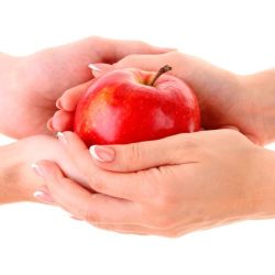 hands holding an apple between them